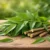 Neem