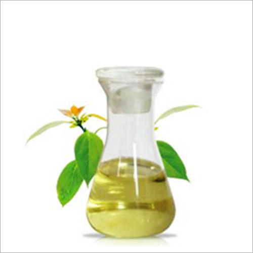 CAMPHOR