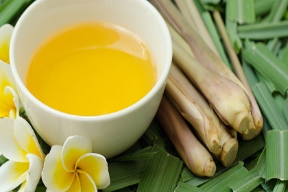CITRONELA